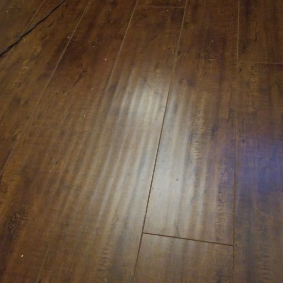 Meet your Posher, Rox - Picture 1 of 1